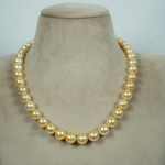 Load image into Gallery viewer, Iris