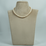 Load image into Gallery viewer, Isla