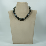 Load image into Gallery viewer, Alba
