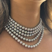 Suri [Limited Edition]